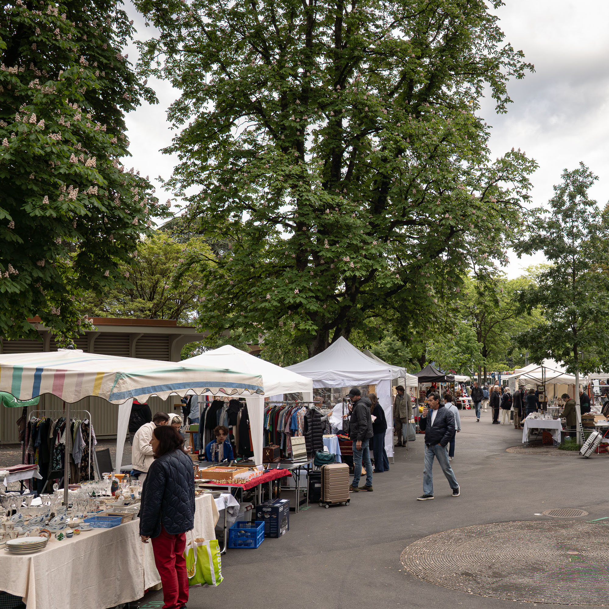 Flohmarkt Bürkliplatz