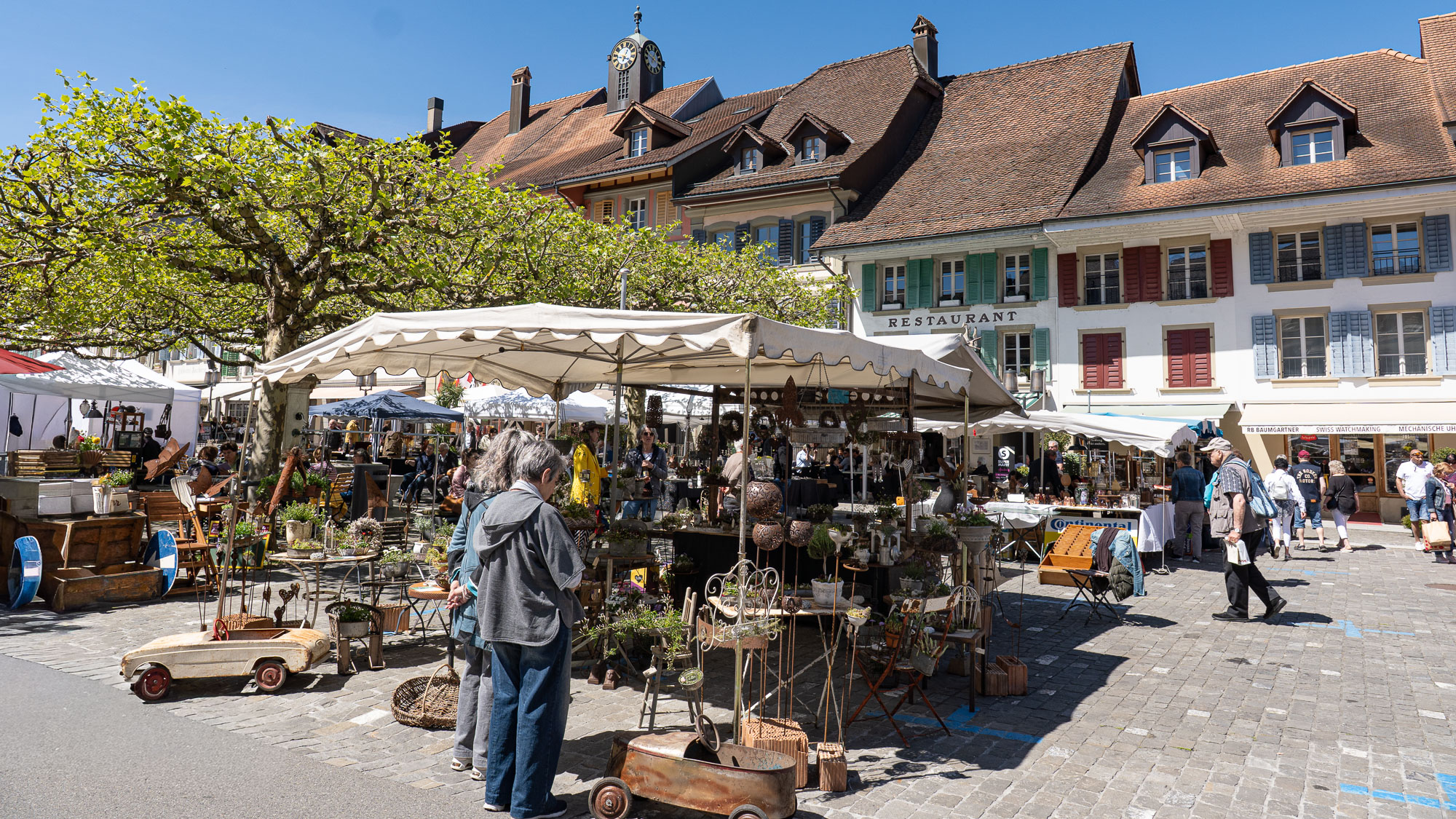 Aarberg Puce